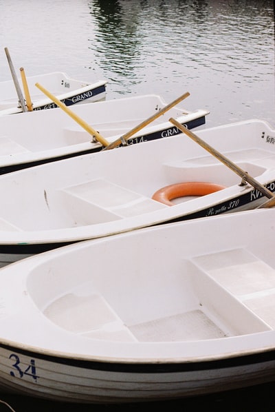 白色和棕色的船白天在水上航行
